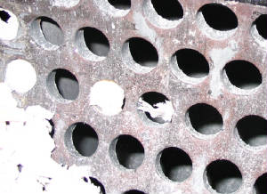 security screen section from document pulverization grinder